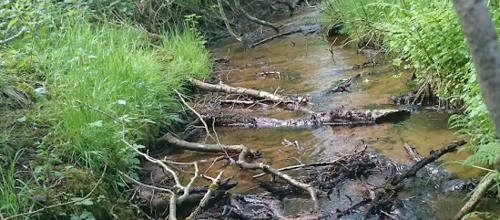 Vellykket samarbejde på trods i Vandråd Ringkøbing Fjord
